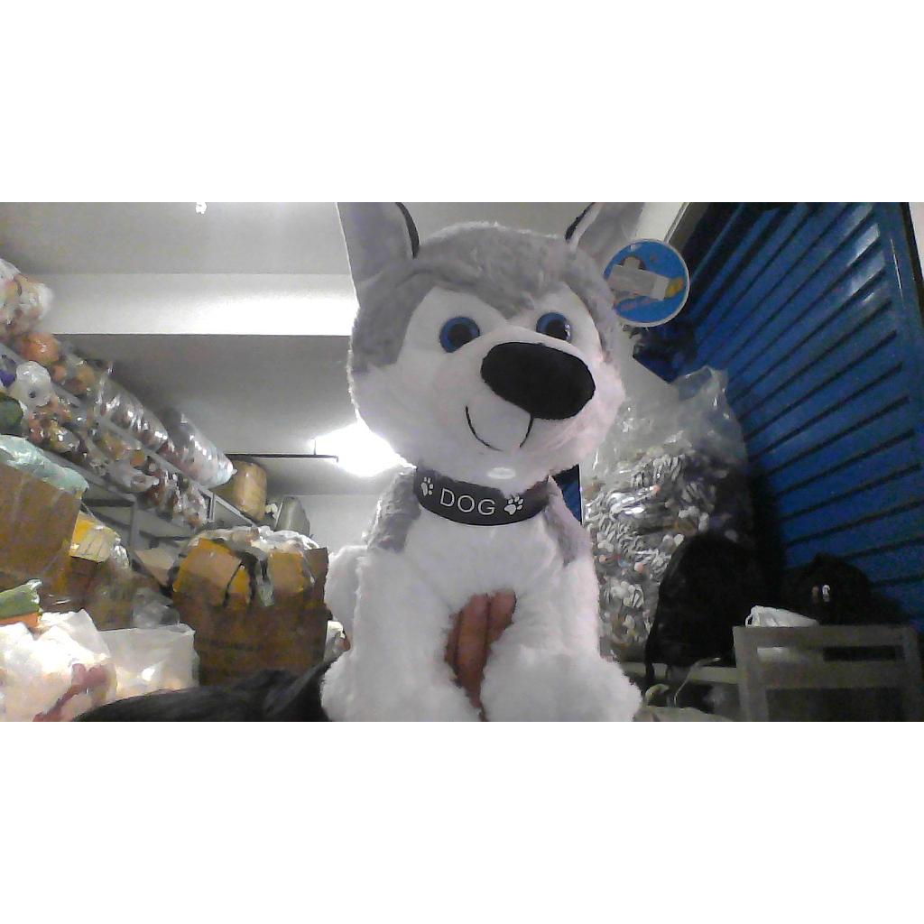 [33-81422M-30]Peluche Lobo