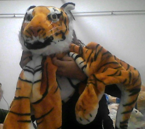 [11-11222MPZH] Peluche Tigre echado