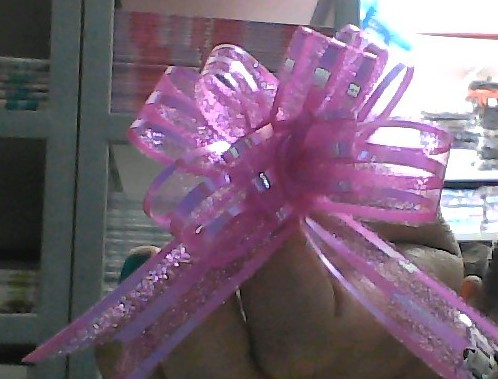 1/4 de docena de sobres de Lazos Organza Talla 18