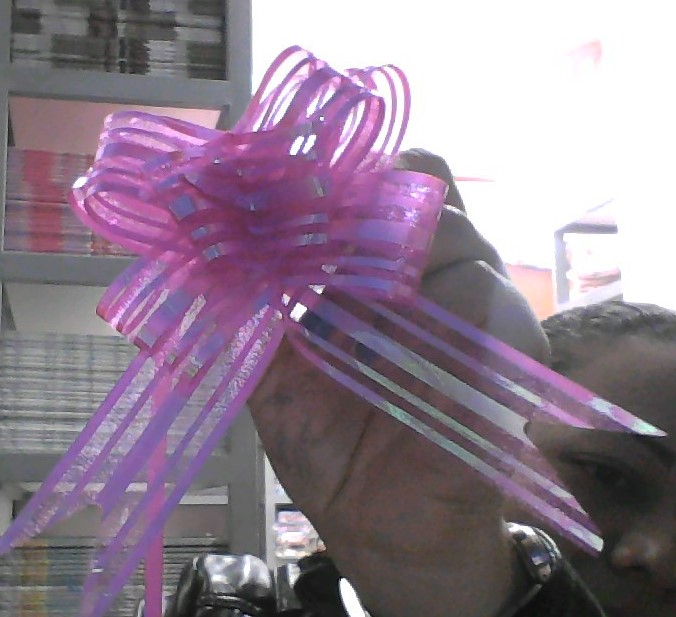 1/4 de docena de sobres de Lazos Organza Talla 30