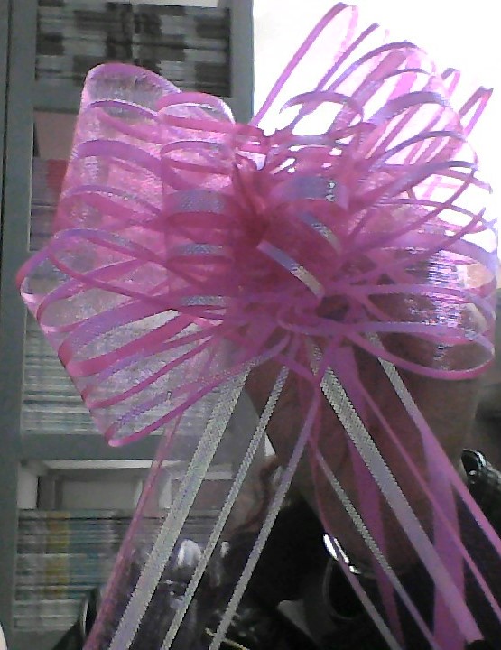 1/4 de docena de sobres de Lazos Organza Talla 50