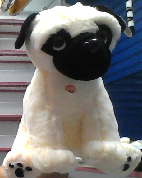 [66-4667M35U] Peluche Perro