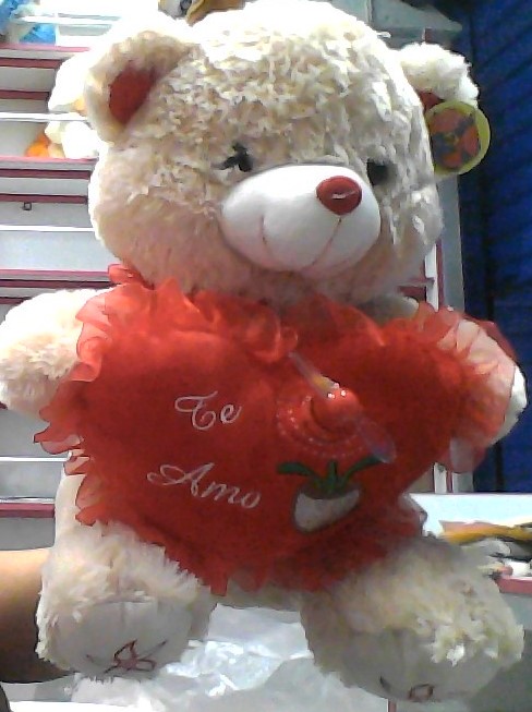 [BG-086] Peluche Oso