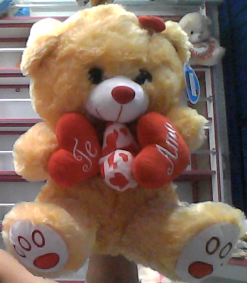 [18-1369M30U] Peluche Oso