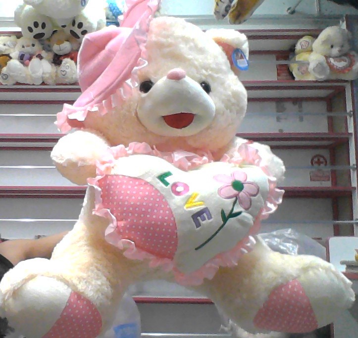 [TZ4883A/P/LO]Peluche Oso